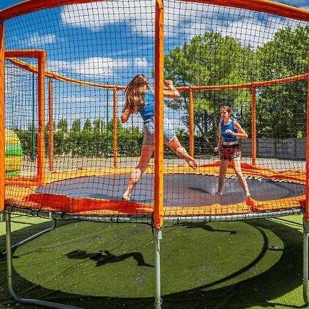 营地 Zecamping Chiens Acceptes Animations Parc Aquatique